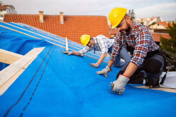 Best Roof Gutter Cleaning  in Muscoy, CA